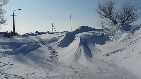 Щербакты