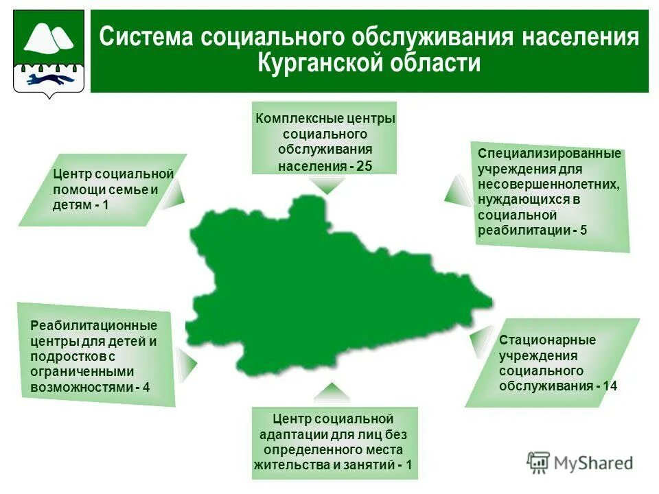 Программы социального обслуживания населения. Главное управление соц защиты населения Курганской обл. Система социального обслуживания. Структура органов социального обслуживания. Что такое подсистемы социального обслуживания.