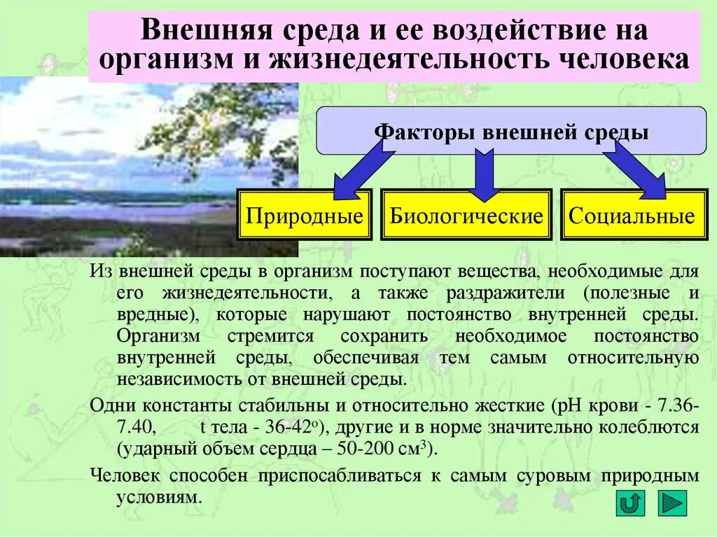 Природные физические данные. Влияние внешней среды на организм. Факторы внешней среды на организм. Внешняя среда и ее воздействие на организм. Влияние факторов внешней среды на организм человека.