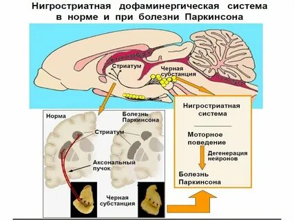Тафларинт субстанция