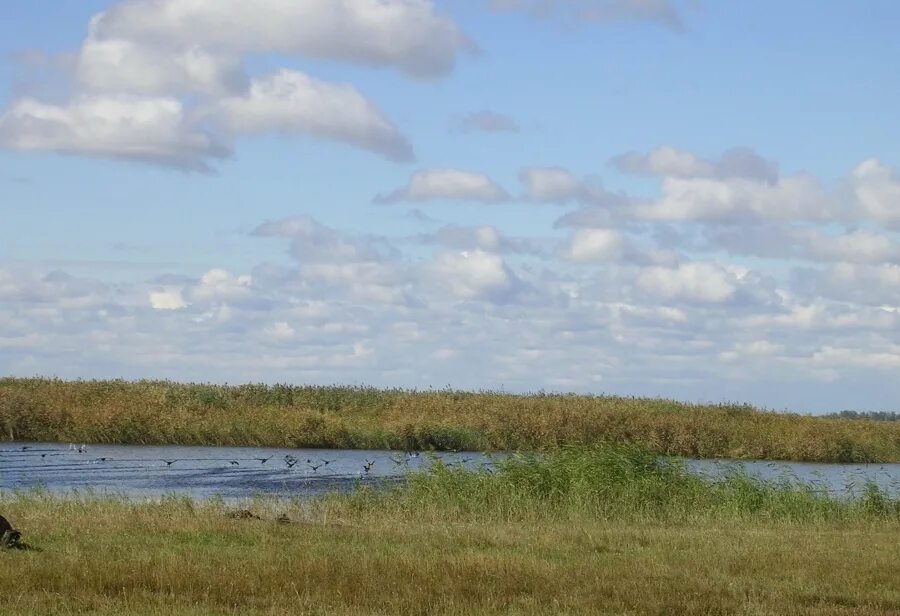 Иванково ивановская область. Курганская область иванково. Курганская область иванково. Иванково ивановская область. Курганская область иванково.