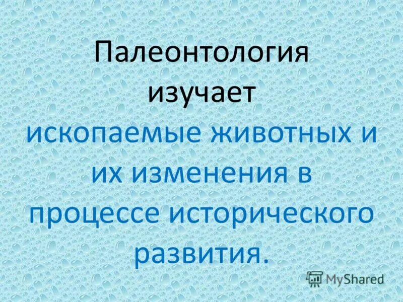 Ископаемые животные. История изучения земли. Какая наука изучает ископаемые остатки организмов. Палеонтология это наука об ископаемых останках и. Прикладные геологические дисциплины.