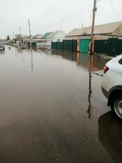 Когда ждать пик паводка в оренбурге