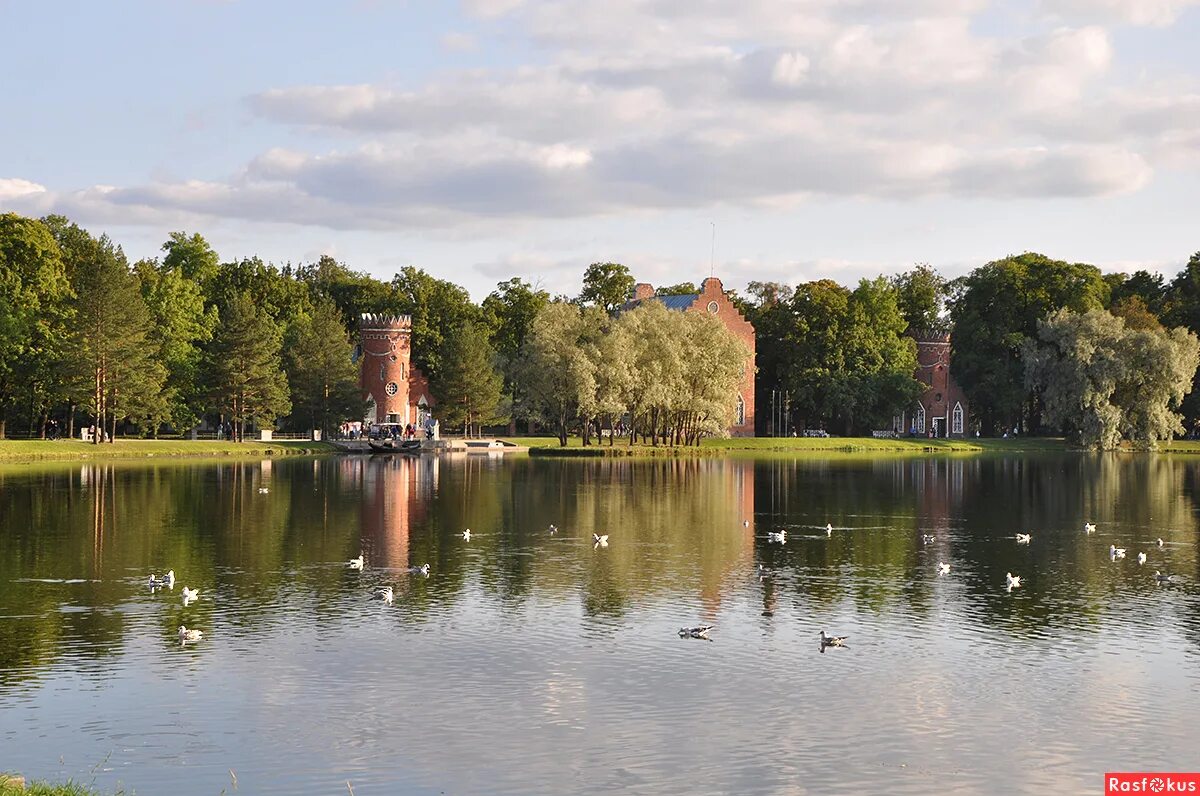 пруды царского села