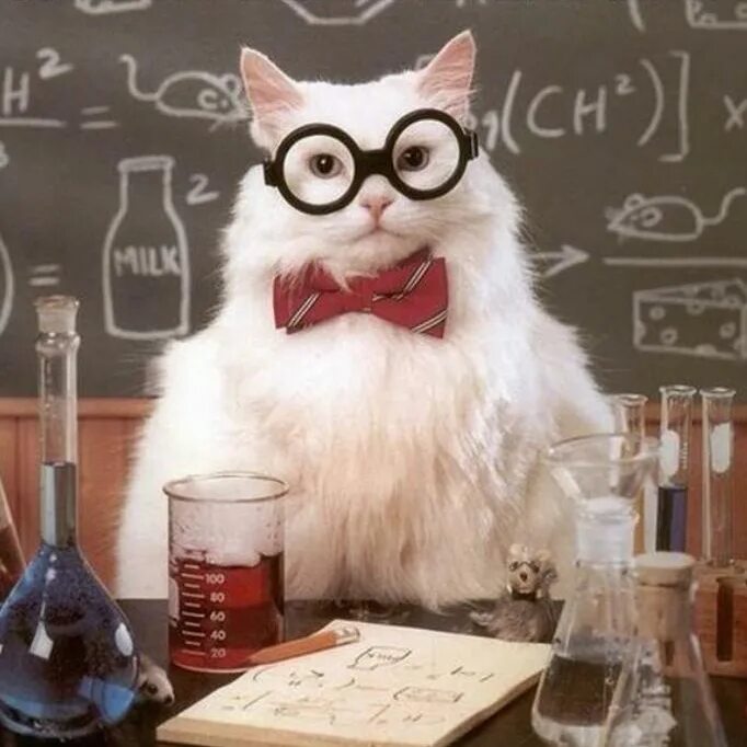 The scientist have made a
