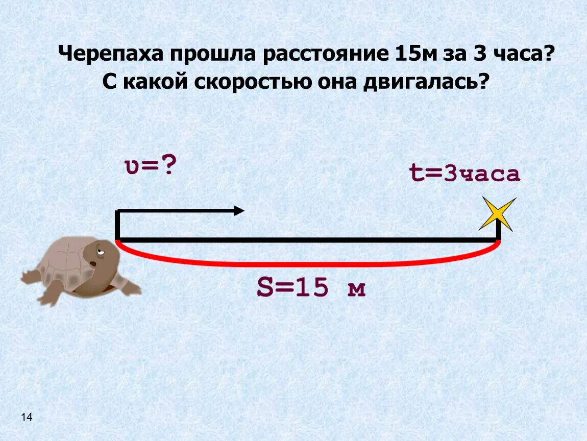 Черепаха прошла расстояние 15 м за 3. Скорость черепахи в час. Какая скорость черепахи в минуту. Какая скорость у черепахи. Валера бежит за щенком со скоростью