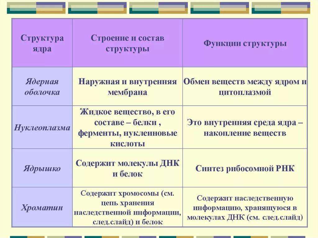 Функции составляющих клетки. Таблица структура ядра строение функции. Ядро особенности строения и функции. Строение ядра строение и функции таблица. Особенности строения структуры ядра.