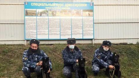 Уфсин курск