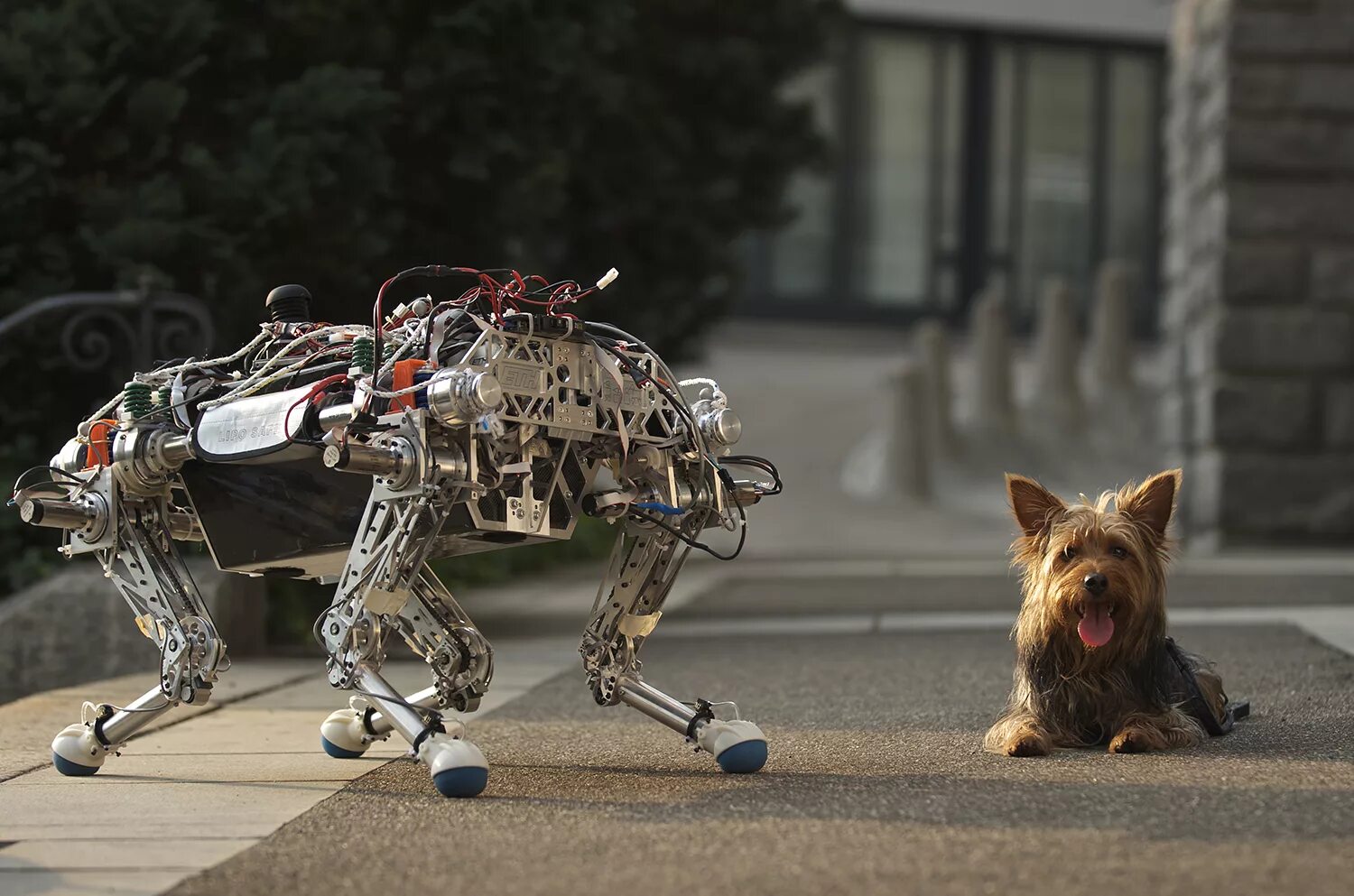 открытие игр будущего собаки. животные киборги. открытие игр будущего собаки. открытие игр будущего собаки. собака будущего.