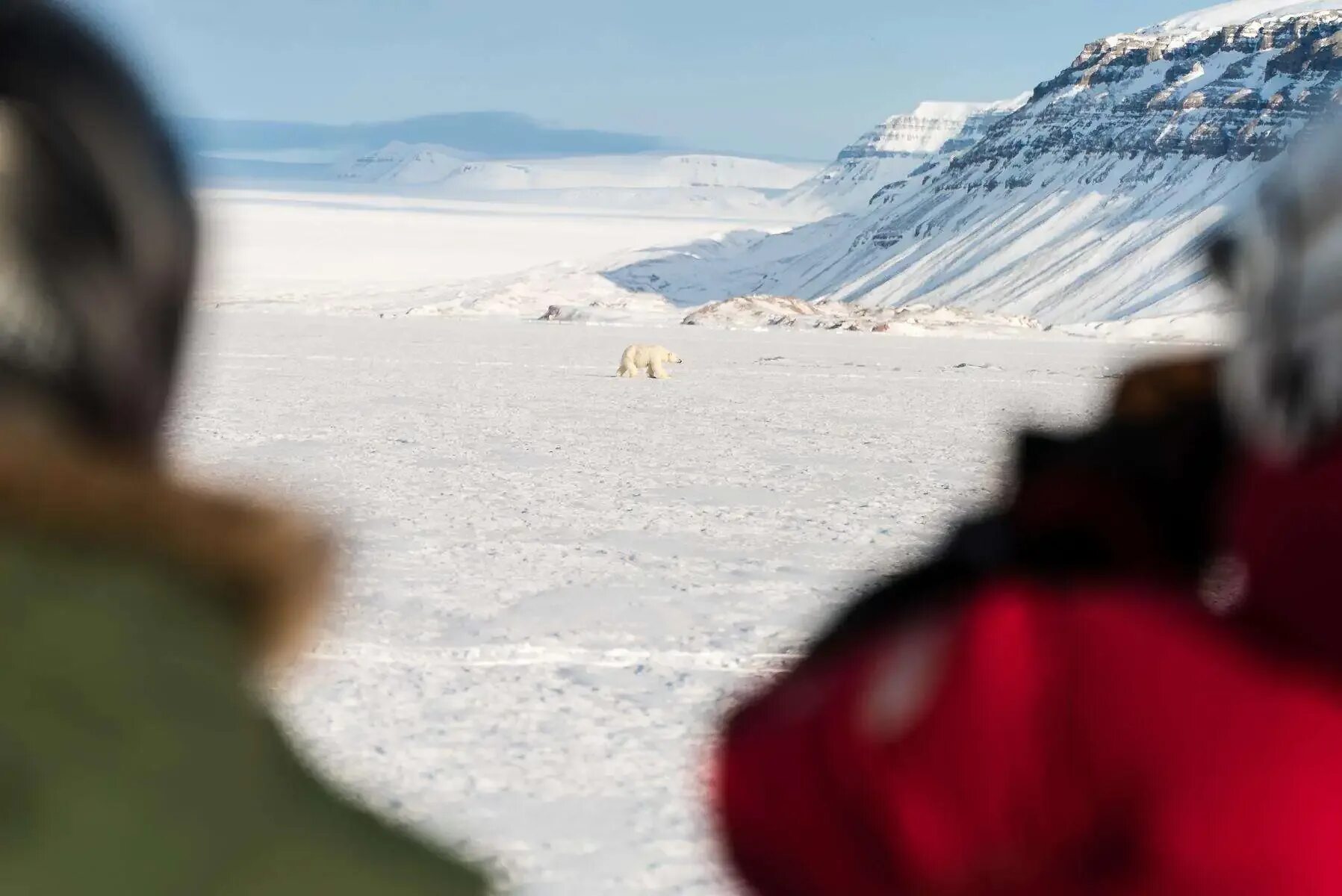 Снег живет предложение. Арктическая пустыня и человек. Люди в Арктике. Научная Экспедиция в арктической пустыне. Туристы в арктической пустыне.