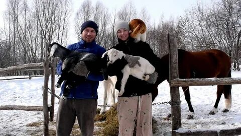 Усадьба белая лошадь последнее дзен