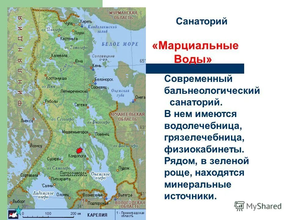 Карта лесных кварталов карелии. Карта рельефа карелии. Республика карелия карта подробная. Экологическая карта карелии. Карелия границы на карте.
