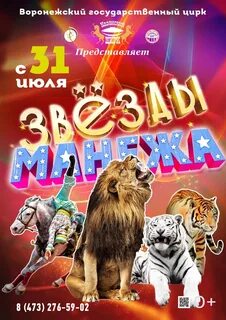 Брянский цирк расписание