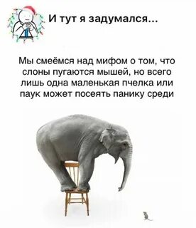 Власть вещи над человеком