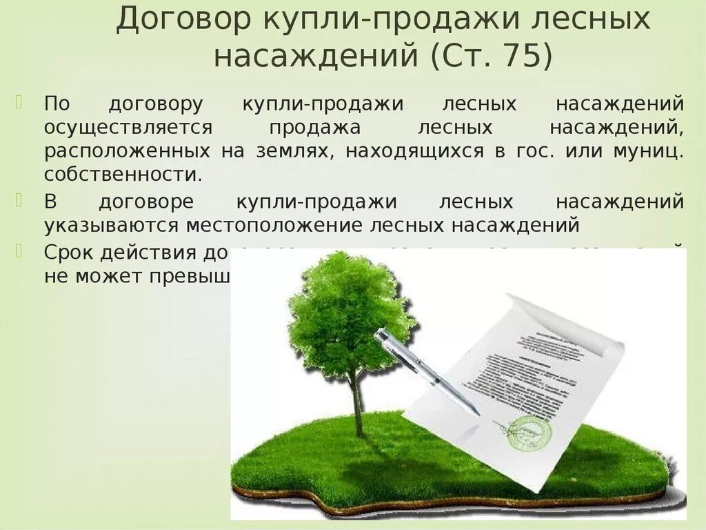 Право пользования участком лесного фонда