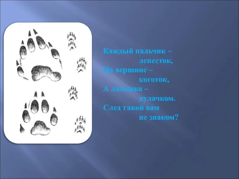 Следу задание. Загадки про следы животных. Загадки про следы зверей. Загадки про звериные следы. По следам животных и птиц презентация.