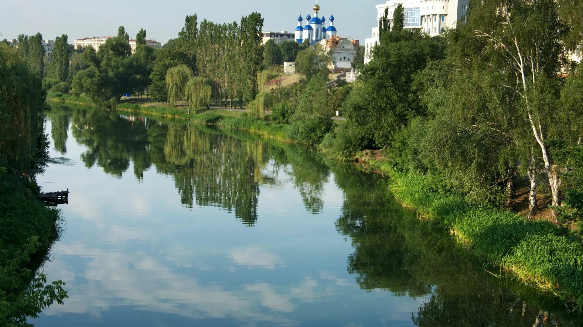 Река Цна Тамбов. Тамбов река Цна набережная. Река Цна Егорьевск. Тамбов река Цна Донское.