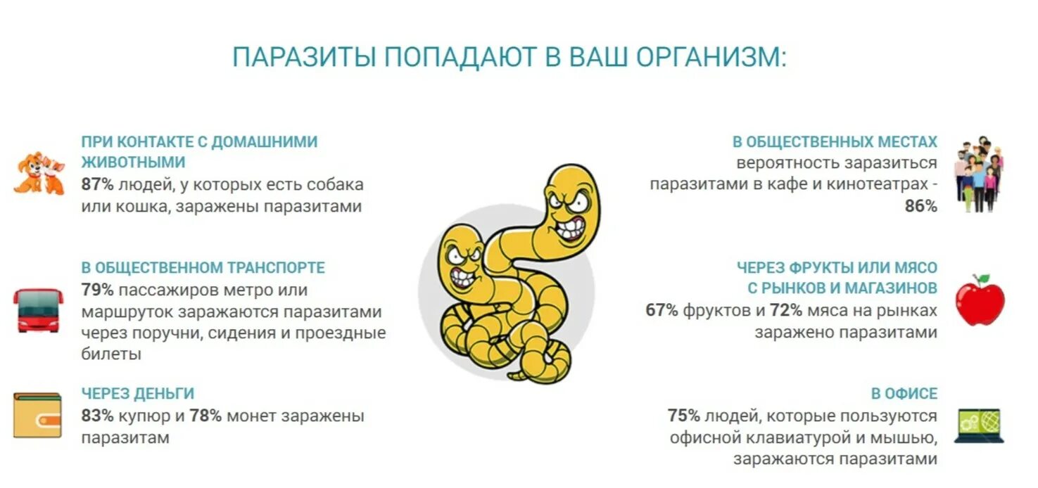 Острицы лямблии аскариды. Пути заражения бледной трепонемой. Гельминты у котят как выглядят. Аскаридоз,анкилостомидоз,некатороз,энтеробиоз. Передаются ли глисты поцелуем.