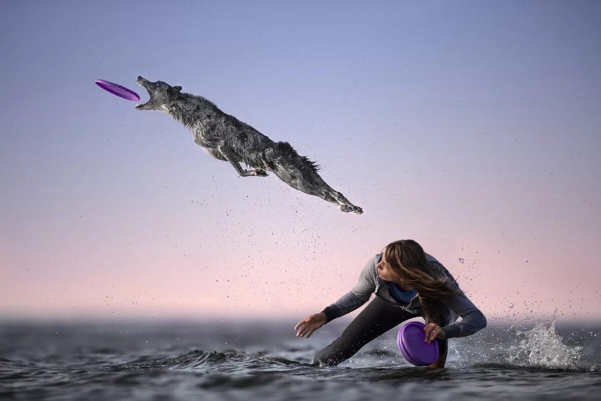 Почему собаки не летают. Клаудио Пикколи. Клаудио Пикколи фото. Красивые моменты. Прыжок в море.