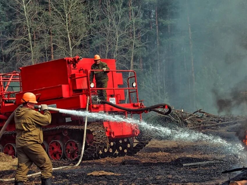 Какую технику используют пожарные. Лесопожарный агрегат ТЛП-55. Трактор рубеж 4000 лесопожарный. Пожарный трактор ЧЕТРА Форест. Лесопожарная автоцистерна АЦЛ-147.