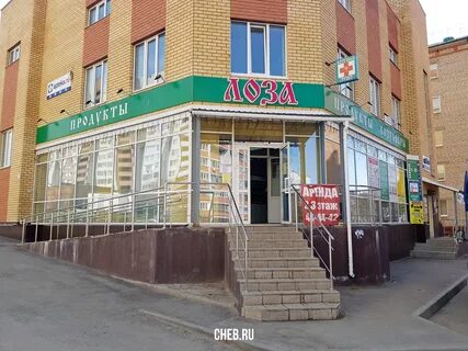 Магазин лоза