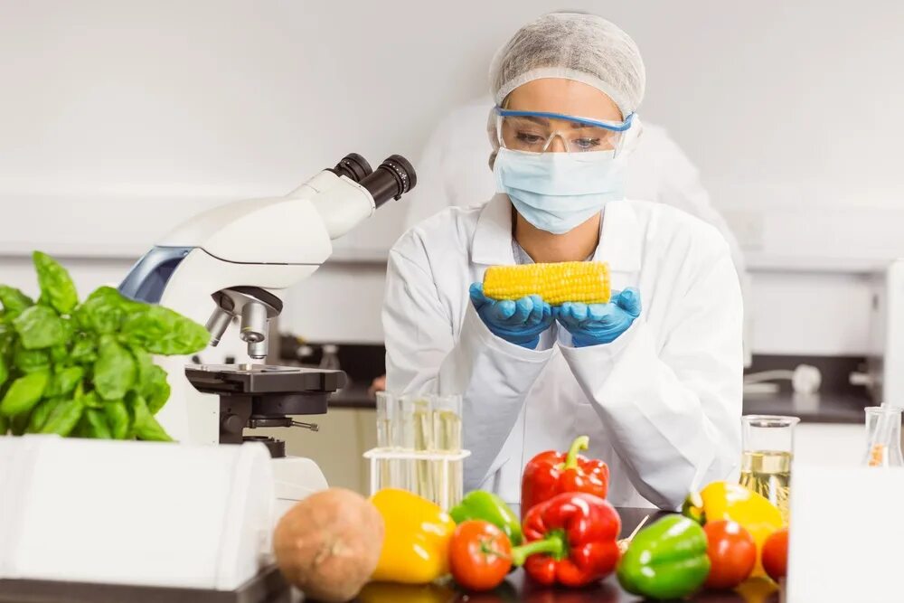 Научные достижения в области пищевых биотехнологий. Пищевая биотехнология. Биотехнологии в промышленности. Биотехнологии в пищевой промышленности. Нанотехнологии в еде.