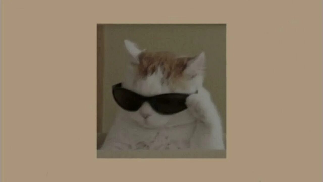 Without me eminem speed. Without me eminem speed. Without me eminem speed. Eminem show eminem текст. Without me eminem speed.