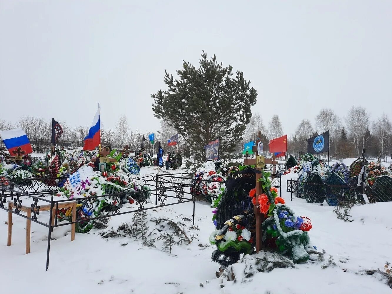 Кладбище сво в Новосибирске. Кладбище Бердск. Кладбище фото. Могилы погибших солдат.