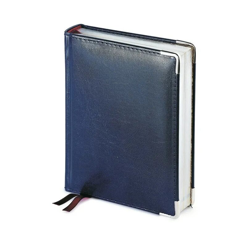 Ежедневник а6. Ежедневник bruno серебряный обрез. Ежедневник а6 датированный 2023. Ежедневник а6 недатированный вытянутый. Ежедневник а6.