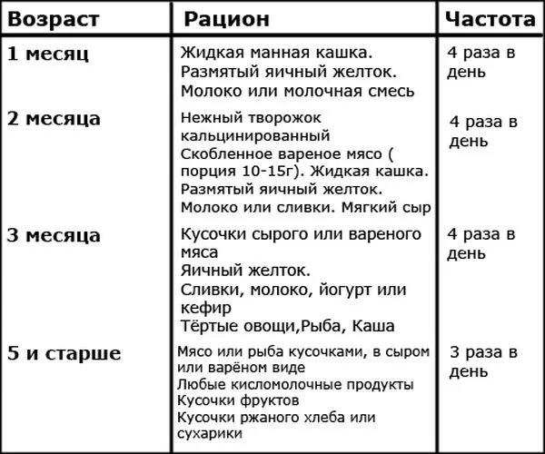 Со скольки можно кормить котят