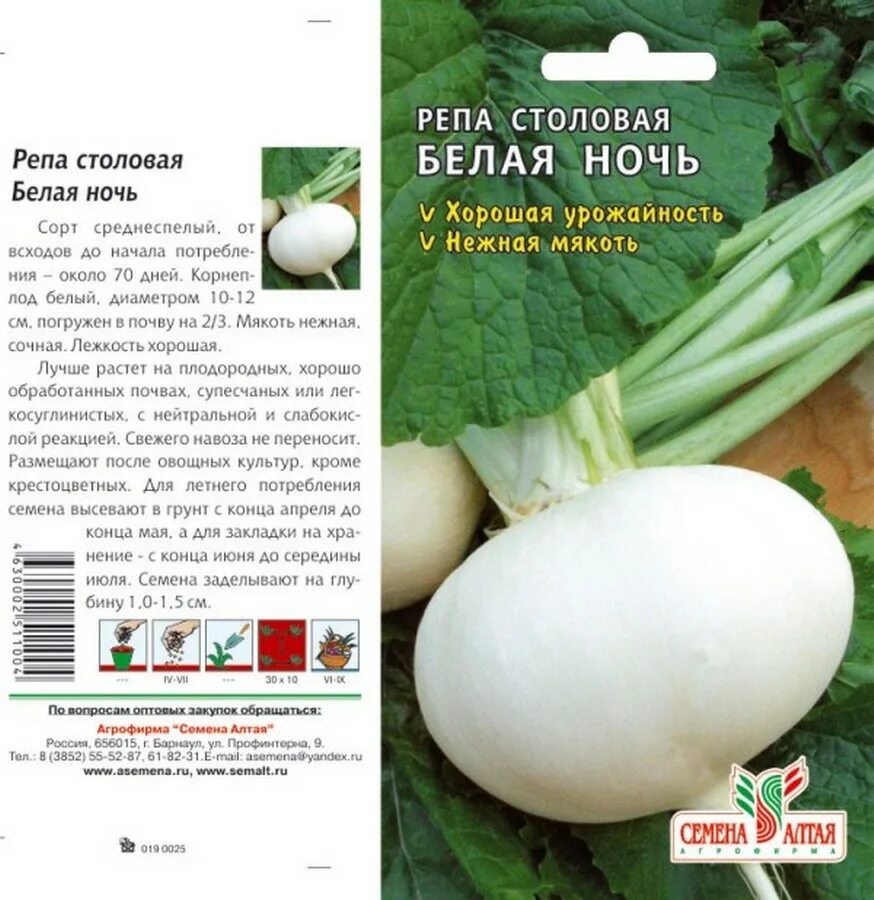 Репа какие сорта. Репа семена. белый сорт репы. репа белая. репа сорта лучшие для открытого грунта.
