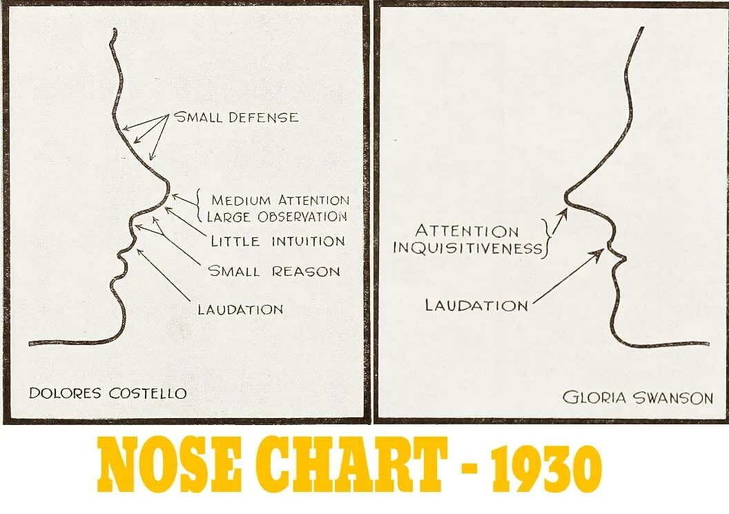 Нос перевести на английский. Concave nose. Turned - up - nose произношение. Noses на карте.