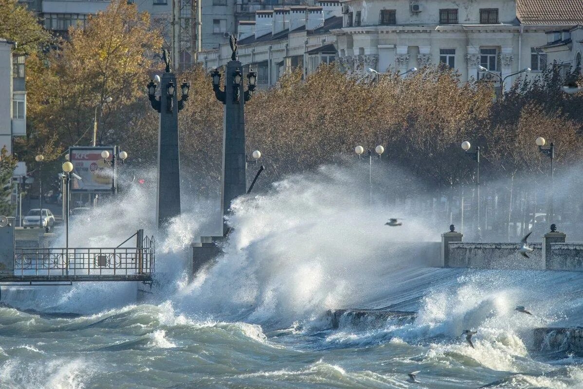 Норд-ОСТ ветер Новороссийск. Бора Норд ОСТ Новороссийск. Норд ОСТ зима Новороссийск. Норд ОСТ Новороссийск 2012. Погода в новороссийске в марте 2024 года