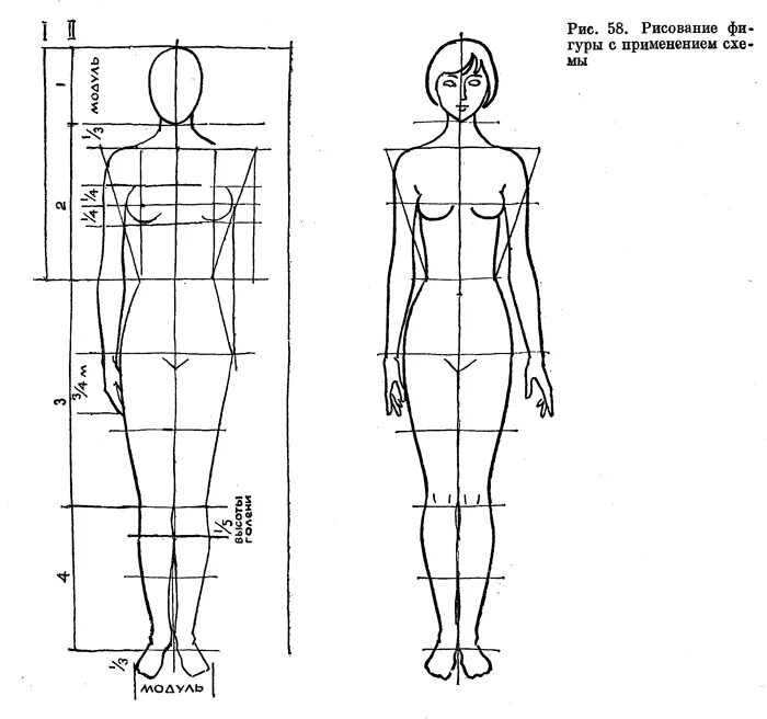 Схема человека. Пропорции человека для рисования в полный рост. Пропорции человека в полный рост схема. Женская фигура рисунок пропорции. Пропорциональные схемы фигуры человека.