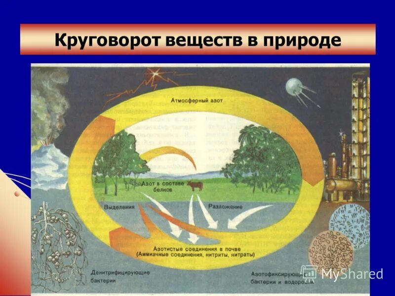 Назовите элементы природы. Назовите элементы природы