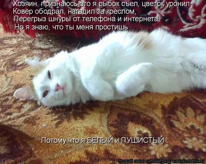 Песня я съел