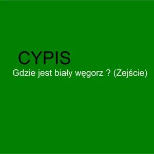 Gdzie jest biały węgorz текст