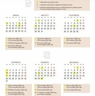 Бухгалтерская отчетность за 3 квартал 2024