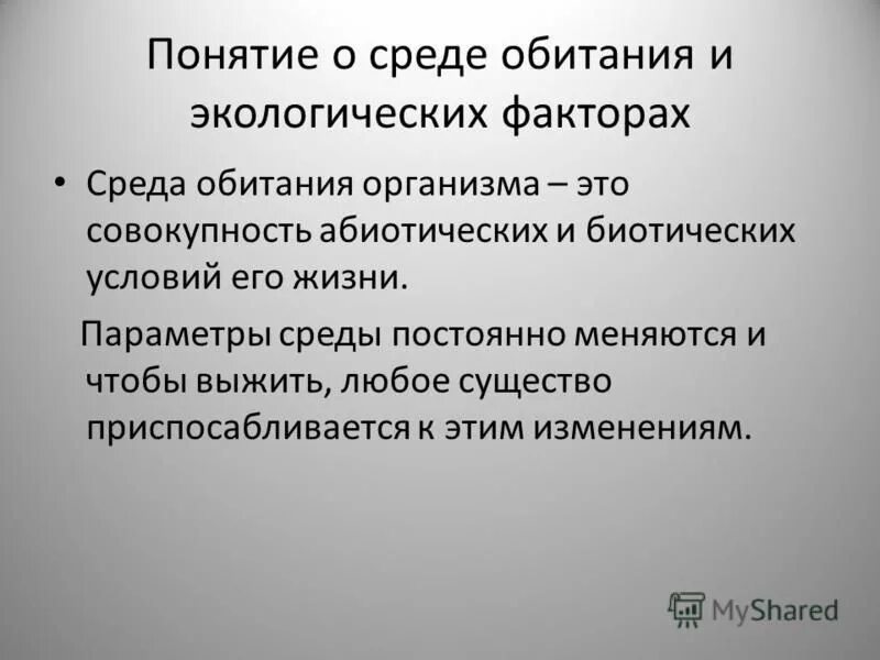 Среда постоянного развития