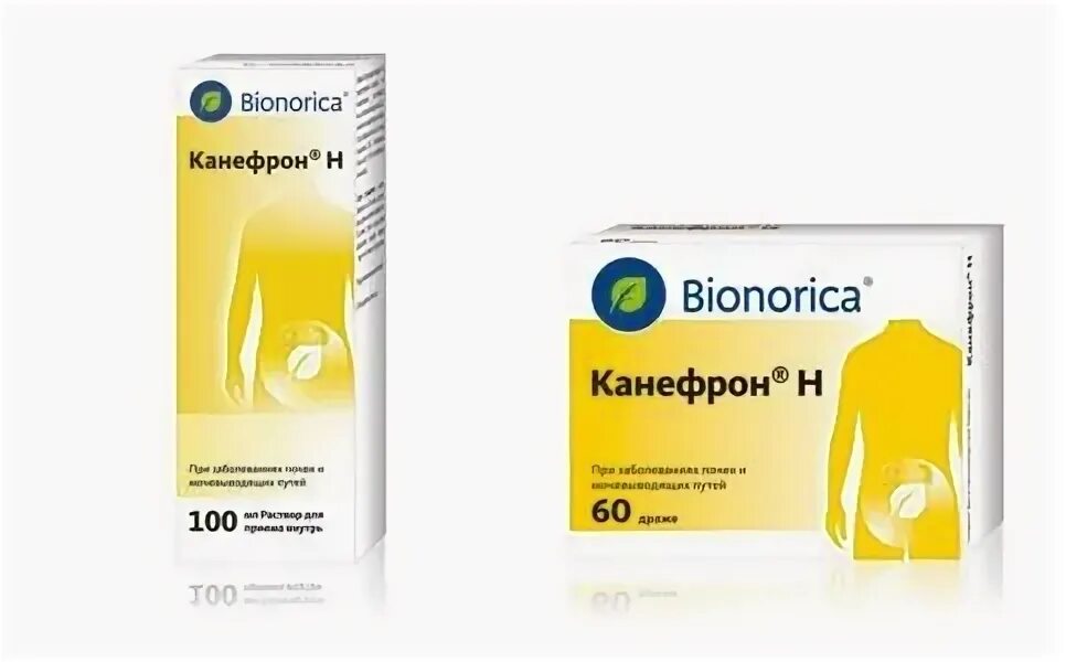Что лучше цистон или канефрон при пиелонефрите. Канефрон. канефрон от камней в почках. канефрон от цистита у женщин. канефрон уколы.