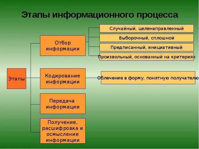 Тема 3. Связующие процессы в спортивном менеджменте - скачать презентацию