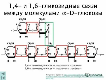 Бета 1 4 связь