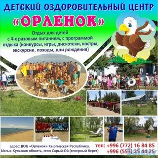 Программы отдыха и оздоровления