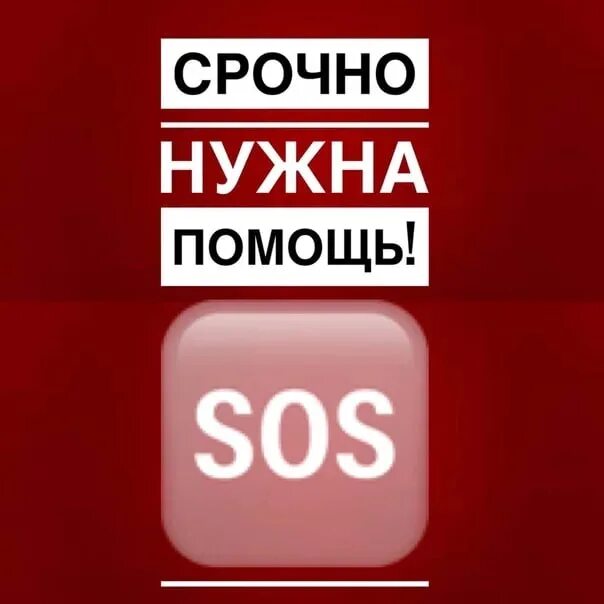 Срочно нужна помощь. Очень срочно нужна помощь. Срочно нужна ваша помощь. Сос нужна помощь