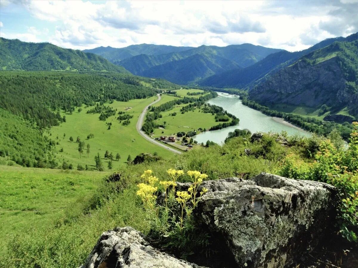 Горно алтайск западный. Арчын горный Алтай. Алтайский край горный Алтай природа. Чемал горный Алтай природа. Катунь Алтайский край.