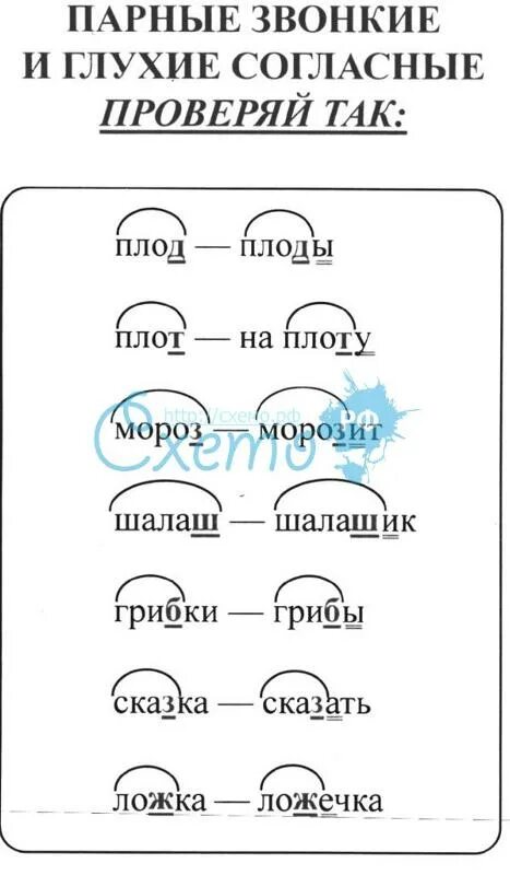 Глухие парные согласные на конце слова. Слова с парными по глухости-звонкости согласным звуком. Парные глухие согласные примеры. Парные звонкие и глухие согласные примеры. Слова с парными согласными.