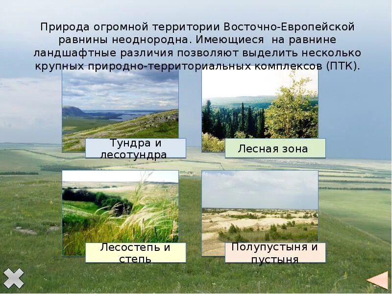Тип равнин русской. Птк восточно-европейской равнины. природно-территориальный комплекс восточно-европейской равнины. восточно-европейская равнина. природные комплексы восточно европейской равнины.