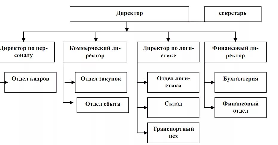 Организационная структура торгового предприятия схема. Организационная структура предприятия торговли схема. Организационная структура оптового предприятия схема. Структура управления торгового предприятия схема. Экономисты различают оптовую и розничную торговлю