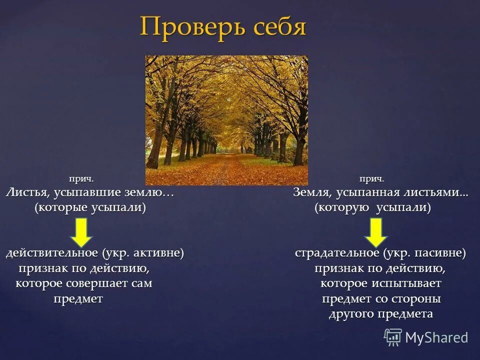 Рыхлая земля в лесу. Под растрепанными дубами земля была усыпана. Под растрепанными дубами земля была усыпана. Мамонтовые сооружения костенки. Схема синтаксического разбора спп.