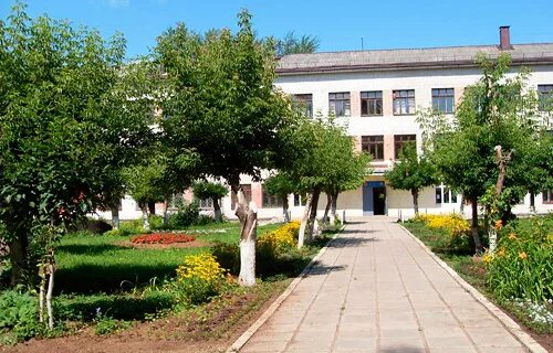 директор 70 школы киров. электронный журнал. школа 70 электронный. школа 70 киров учителя. электронный дневник 27 школа кирова города.